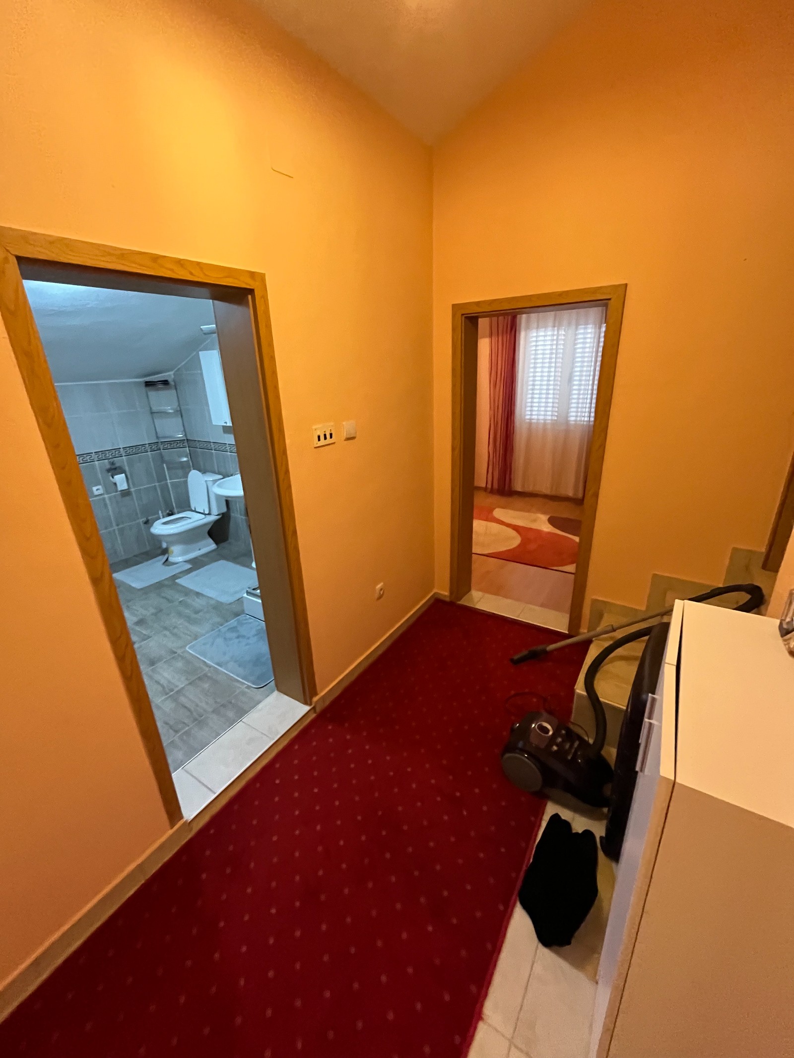 For sale is a fully furnished house with a plot in an attractive location in Tolosi