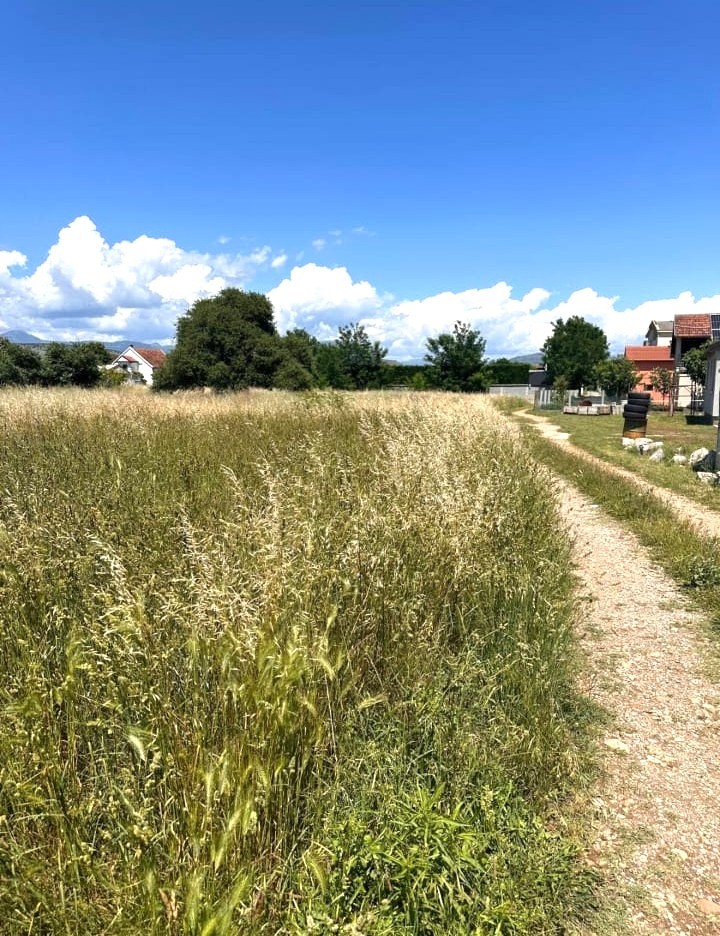 Prodaje se plac u Donjoj Gorici, Podgorica. 