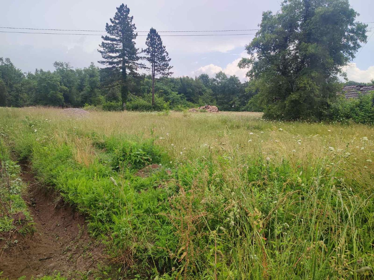 Prodaje se veći plac u Ćurilac, Danilovgrad.