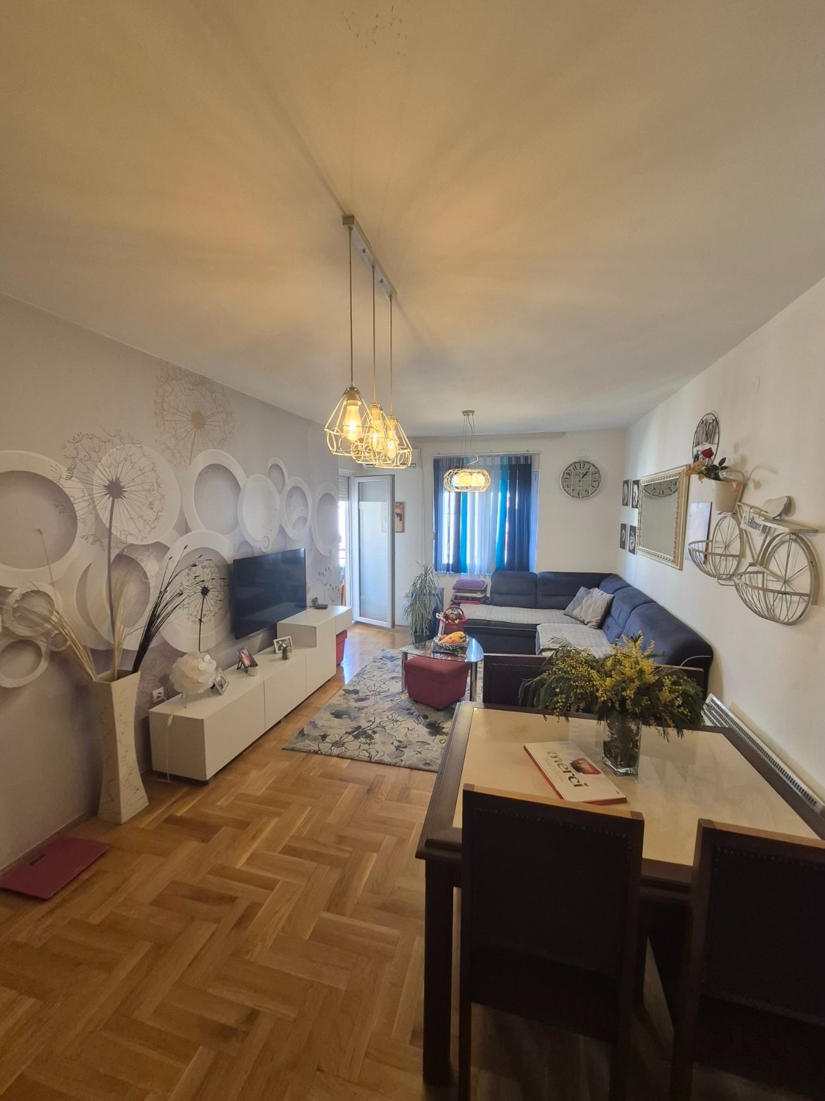 Nicely furnished one-room apartment for sale, Tuski put, Podgorica