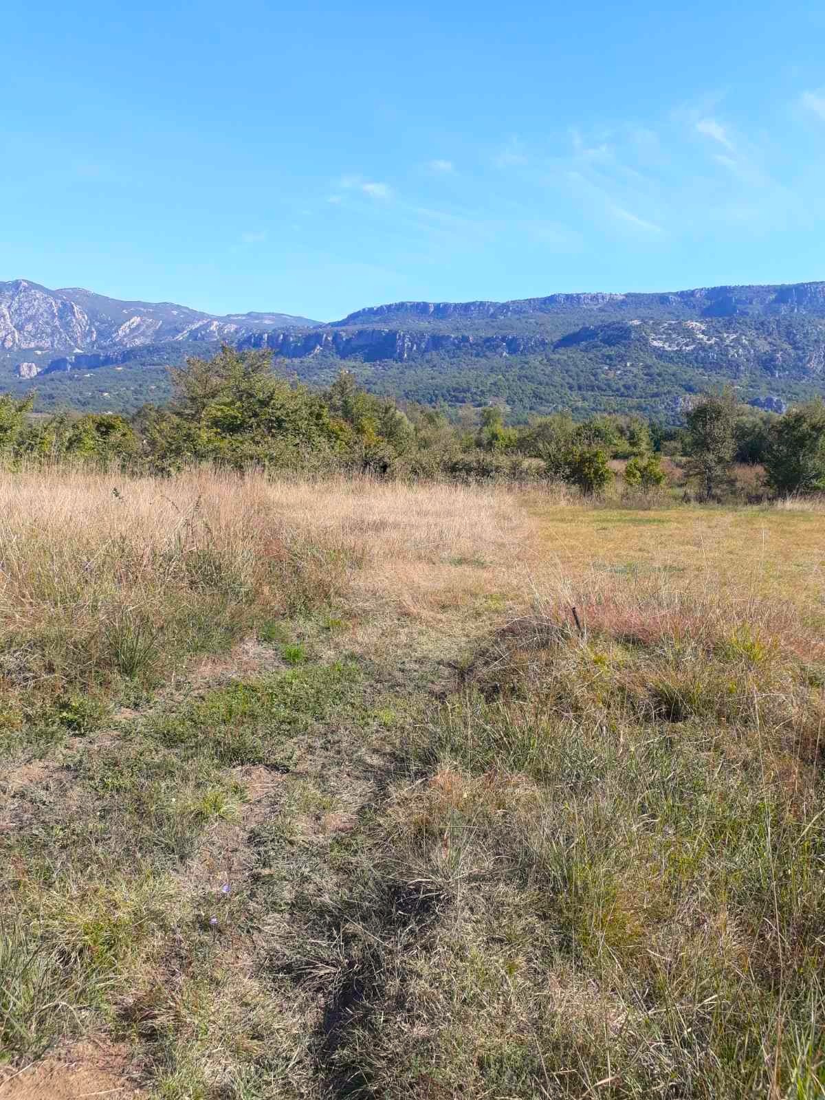 Prodaje se plac od 4200 m2 u Spužu, Danilovgrad. 