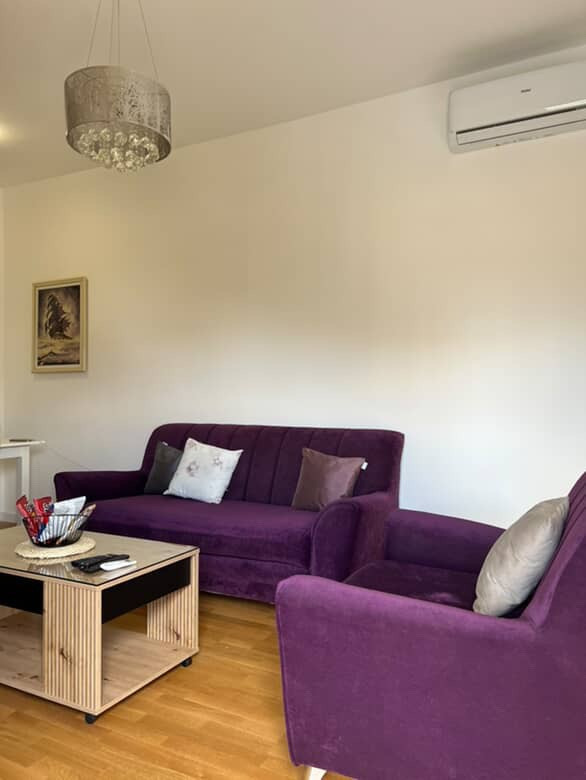One-room apartment for rent in Zabjelo, behind Titex. 