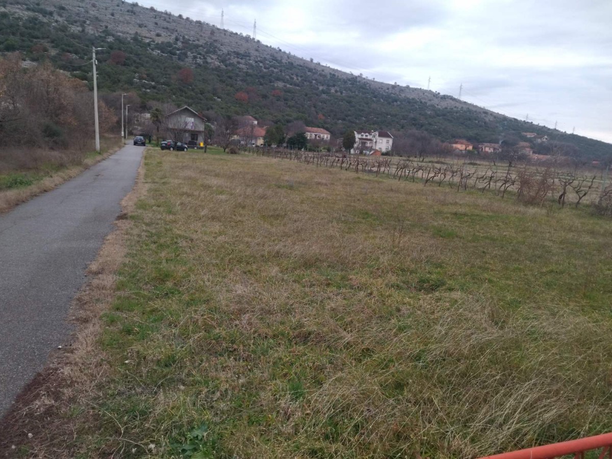 Plot for sale in Tološi, Podgorica