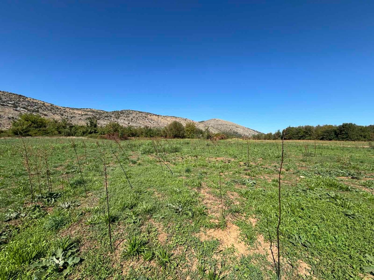 Plot for sale next to Morača, Botun, Podgorica.