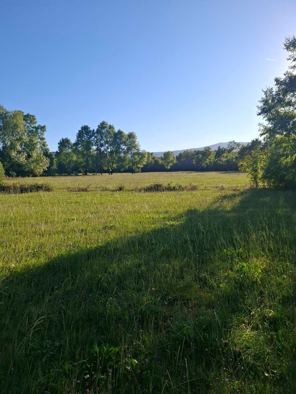 A plot of 2881 m2 in the village of Begovina is for sale
